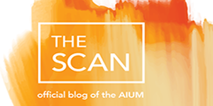 The Dawn of Large Language Models (LLMs) in Ultrasound